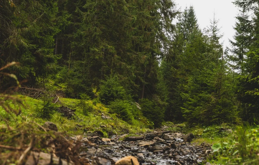 SPADOK Forest Villas — оренда будинку біля Синевиру на 10 осіб